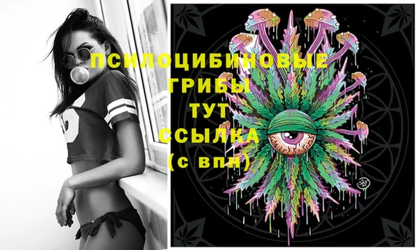 гидропоника Нея