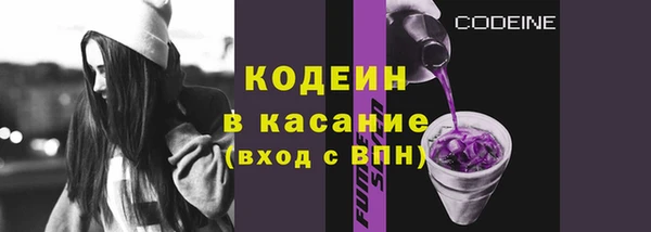 индика Бабаево