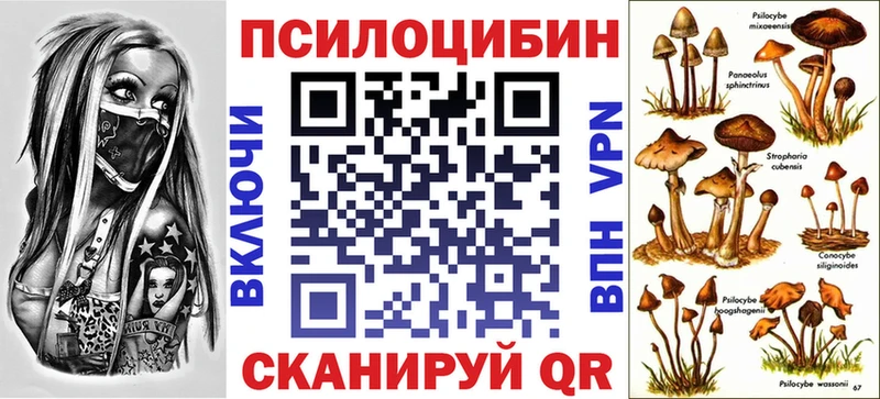 Псилоцибиновые грибы MAGIC MUSHROOMS  Щёкино 